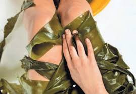 СПА-Капсула — волшебный кокон