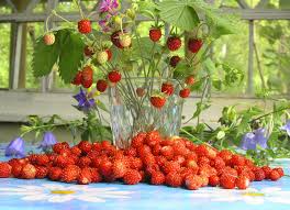 Красные ягоды для красоты и здоровья